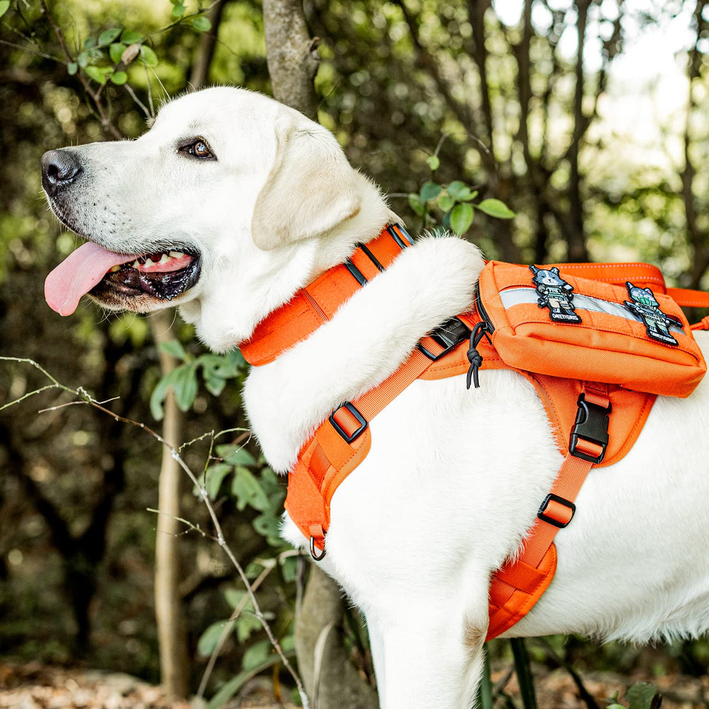 ONETIGRIS Tough Dog Collar is ideal for training and quick restraint with easy-on, easy-off features.