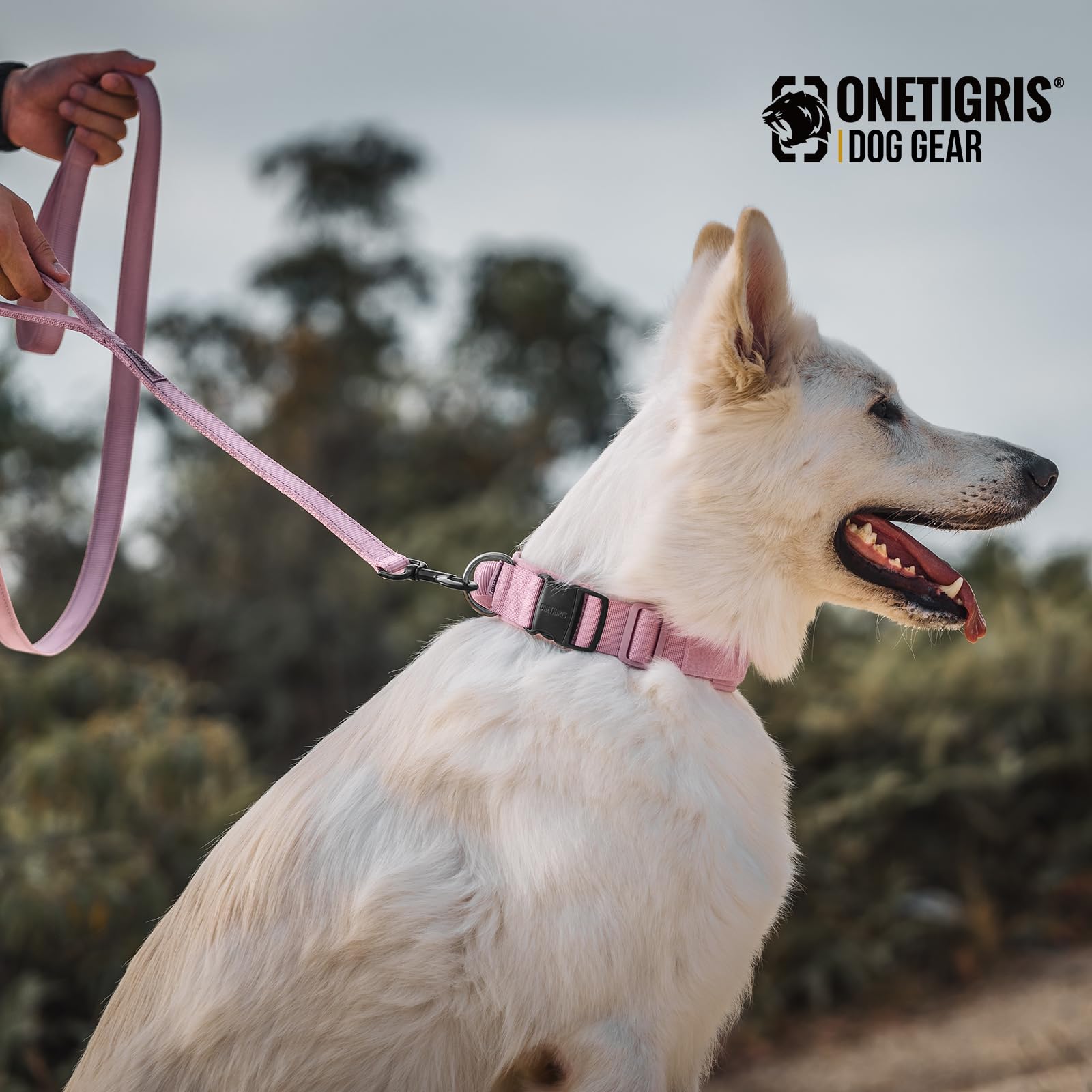 OneTigris wide-support dog collar distributes pressure for comfortable training.