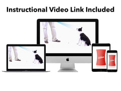 ONKEY ShakeTrainer helps curb barking with humane non-shock cues during daily routines