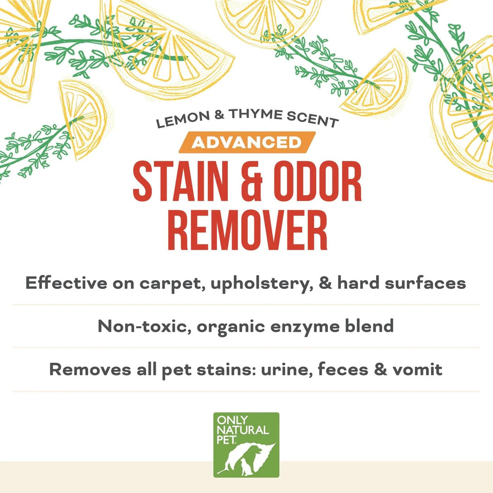 Only Natural Pet Advanced Dog Stain + Odor Remover applied on carpet for set-in stains.