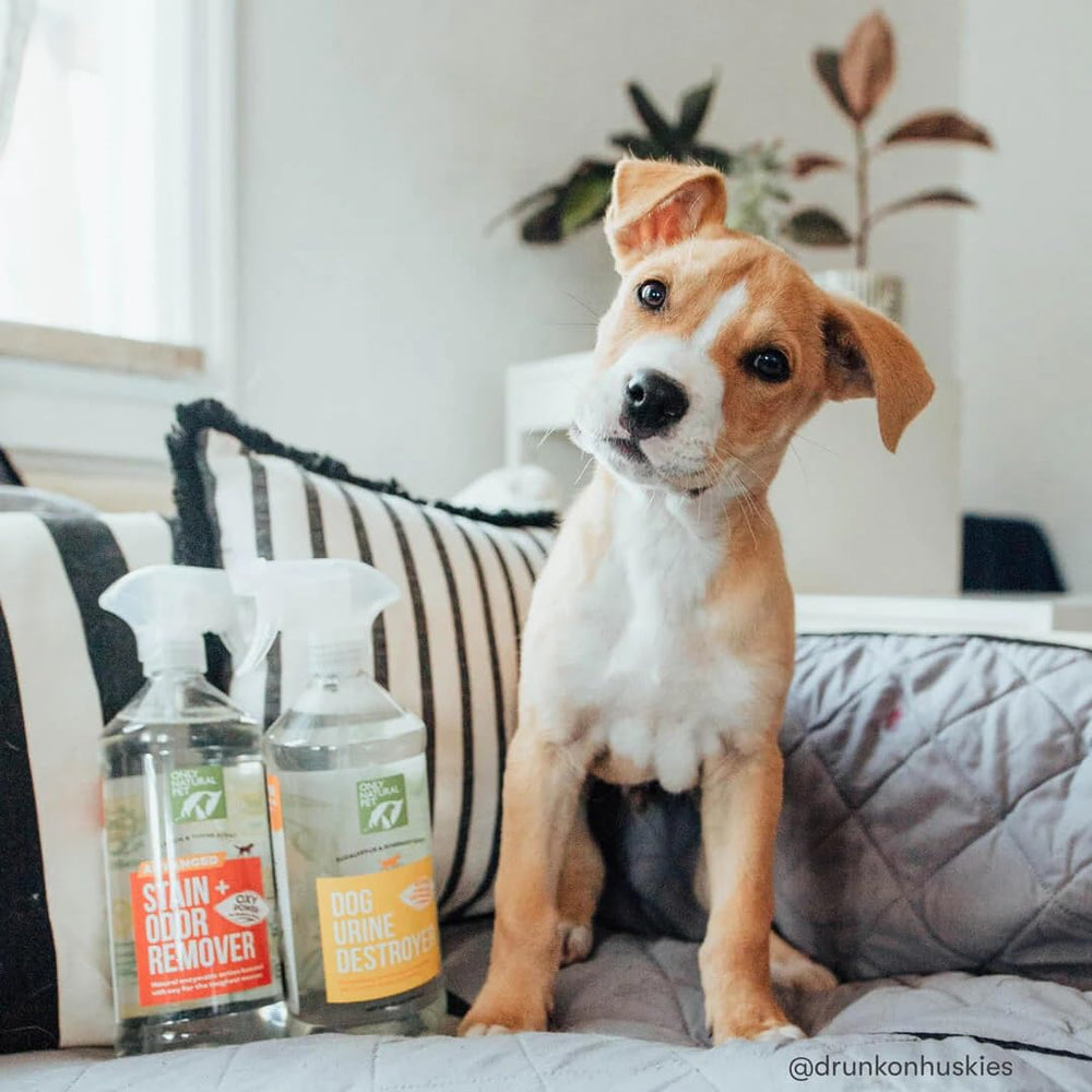 Only Natural Pet Advanced Dog Stain + Odor Remover enzyme action visual shows plant based formula.