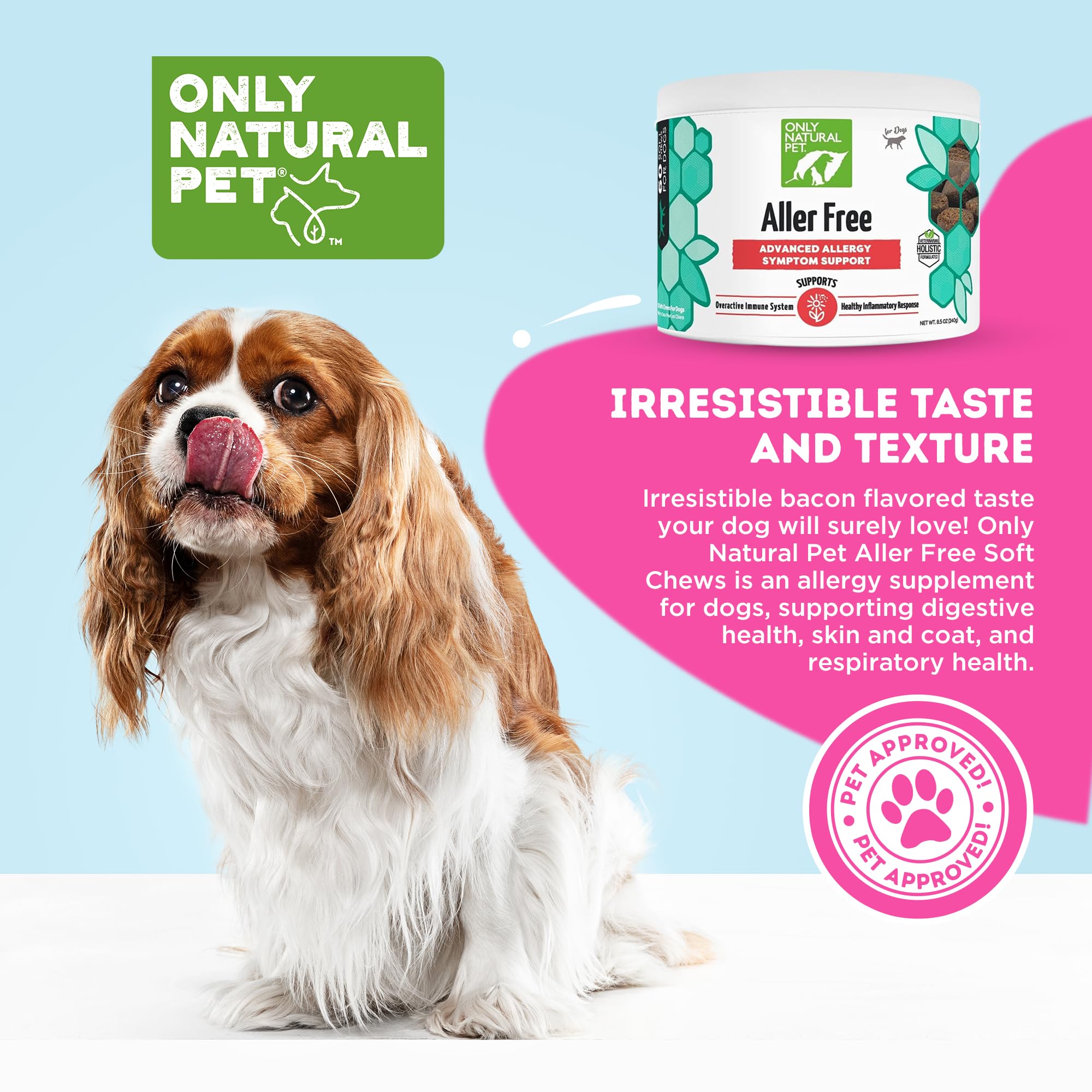 Dog chewing AllerFree chew after meal for comfort.