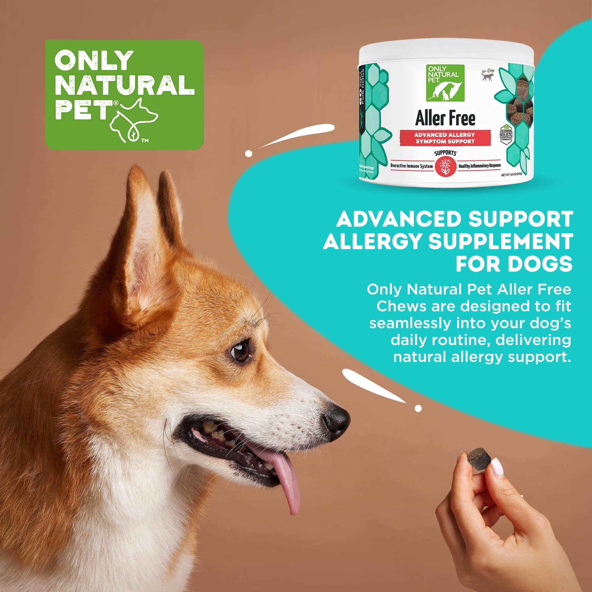 Bottled AllerFree packaging showing bacon chews for pet wellness.