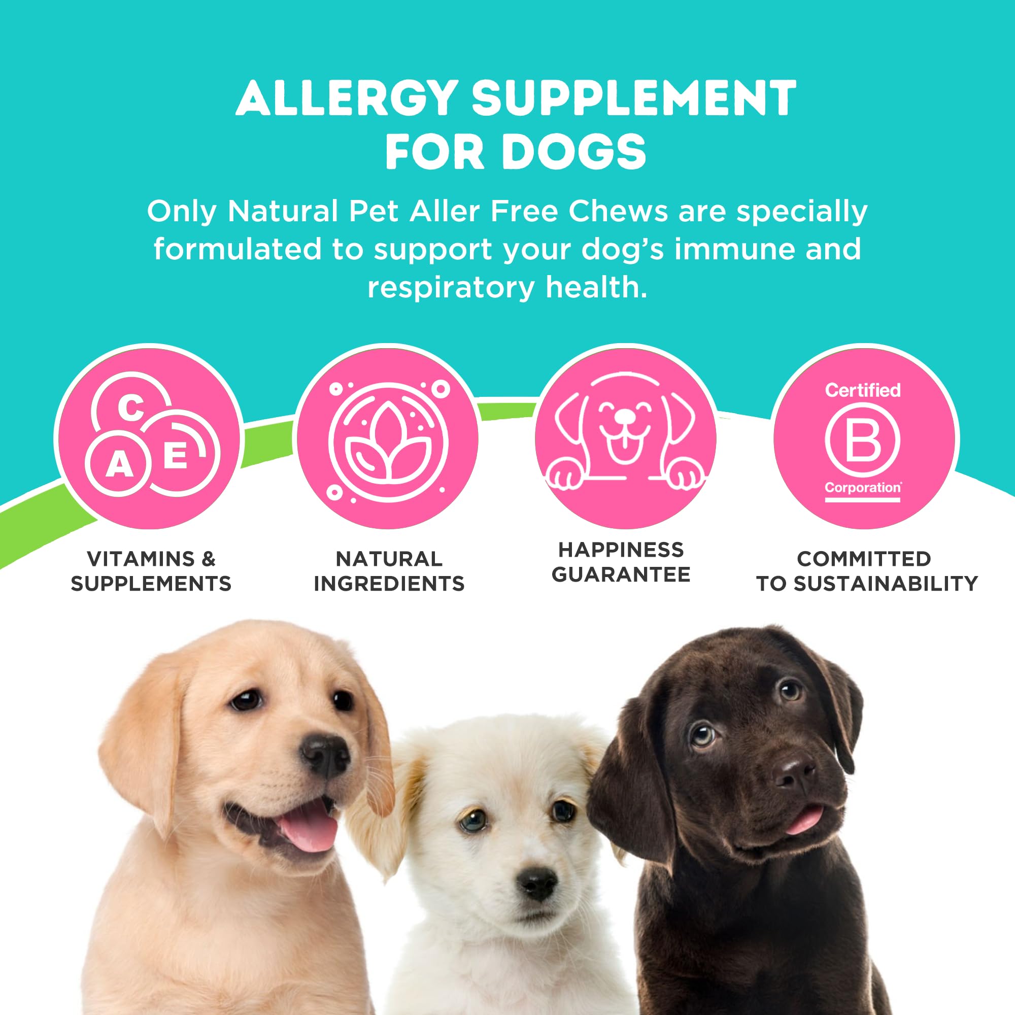 AllerFree quercetin-probiotics ingredients spread out for immune support.