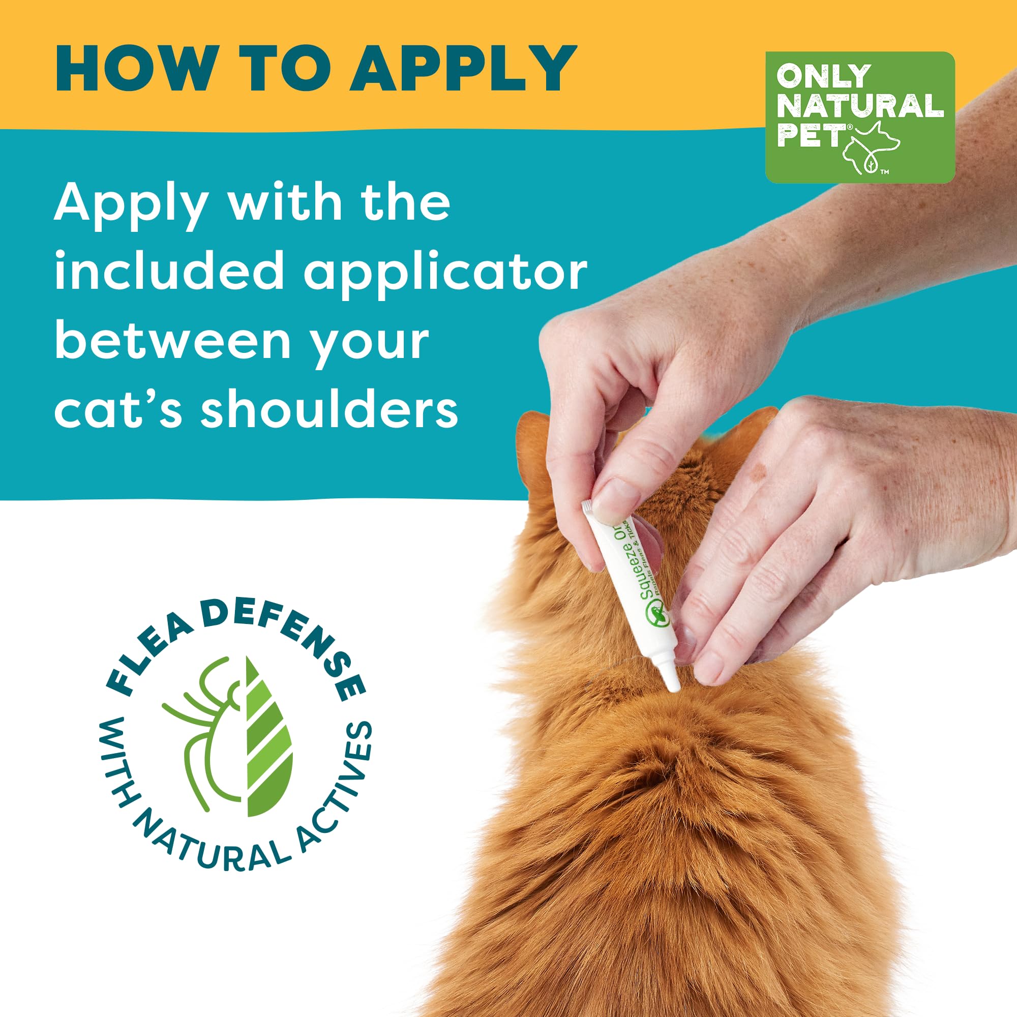 Only Natural Pet EasyDefense cat relaxing after application
