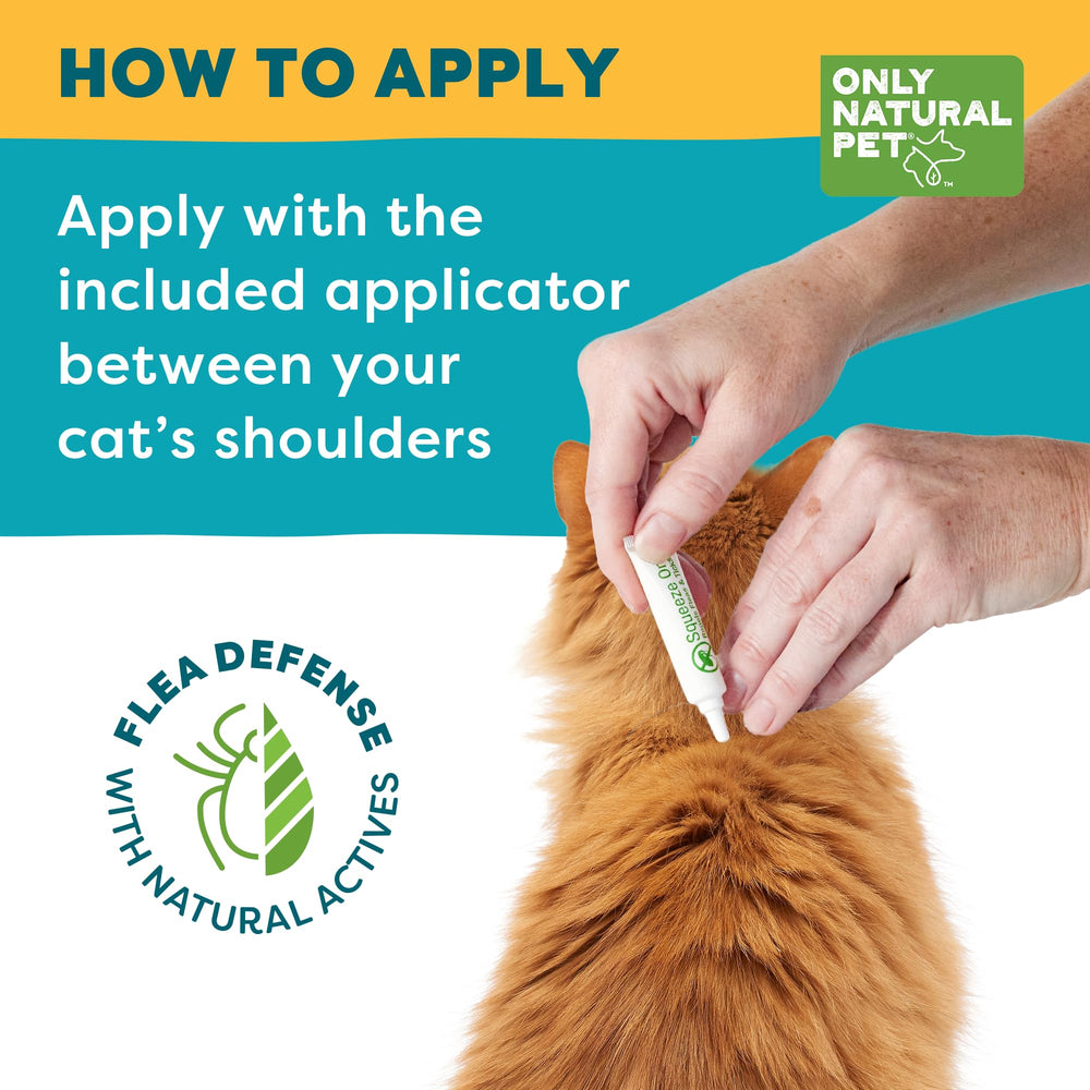 Only Natural Pet EasyDefense cat relaxing after application