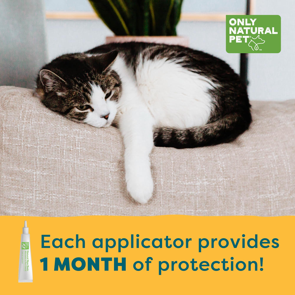 Only Natural Pet EasyDefense three-month supply box displayed