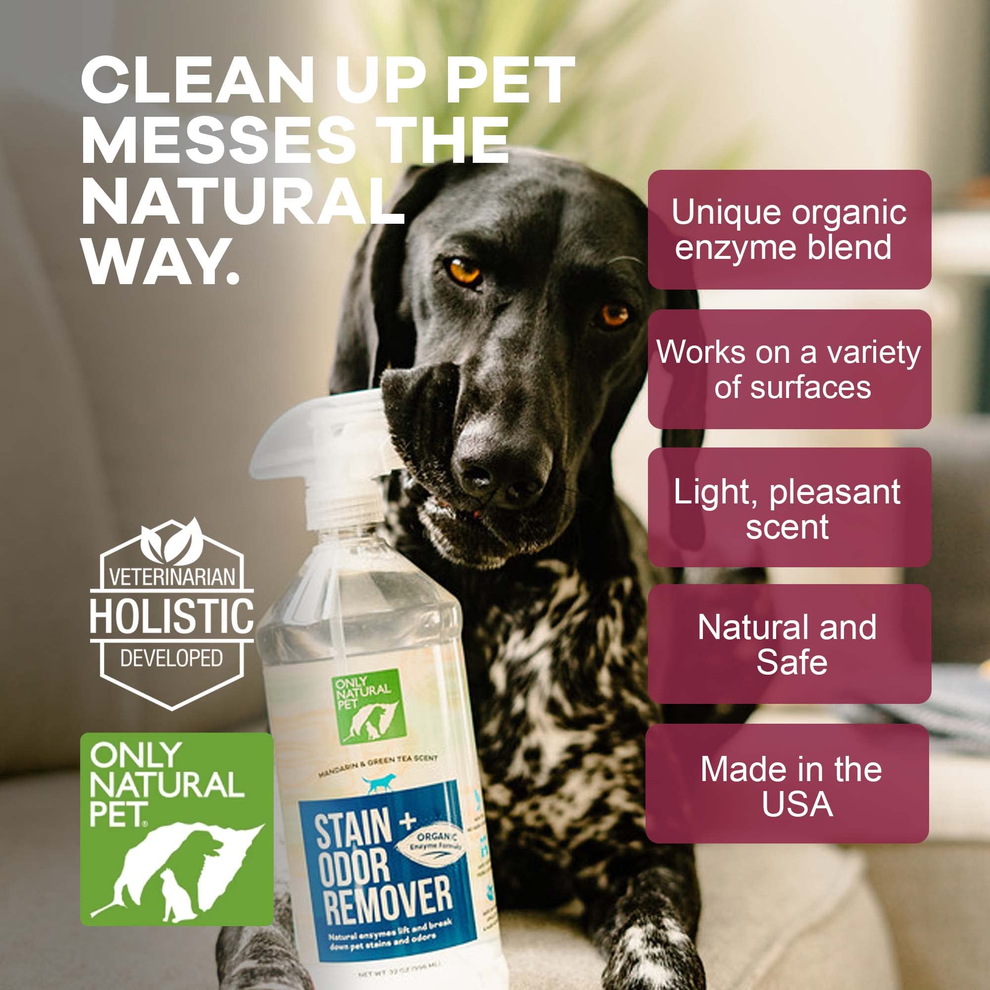Only Natural Pet enzyme-powered stain-eliminator on carpet demonstrates odor elimination.