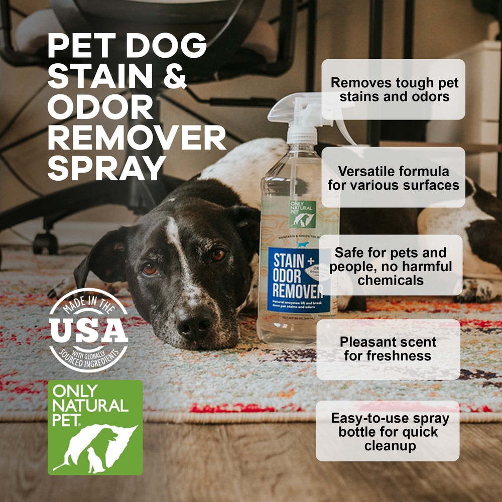 Only Natural Pet enzyme-powered stain-eliminator on hardwood floor for multi-surface use.