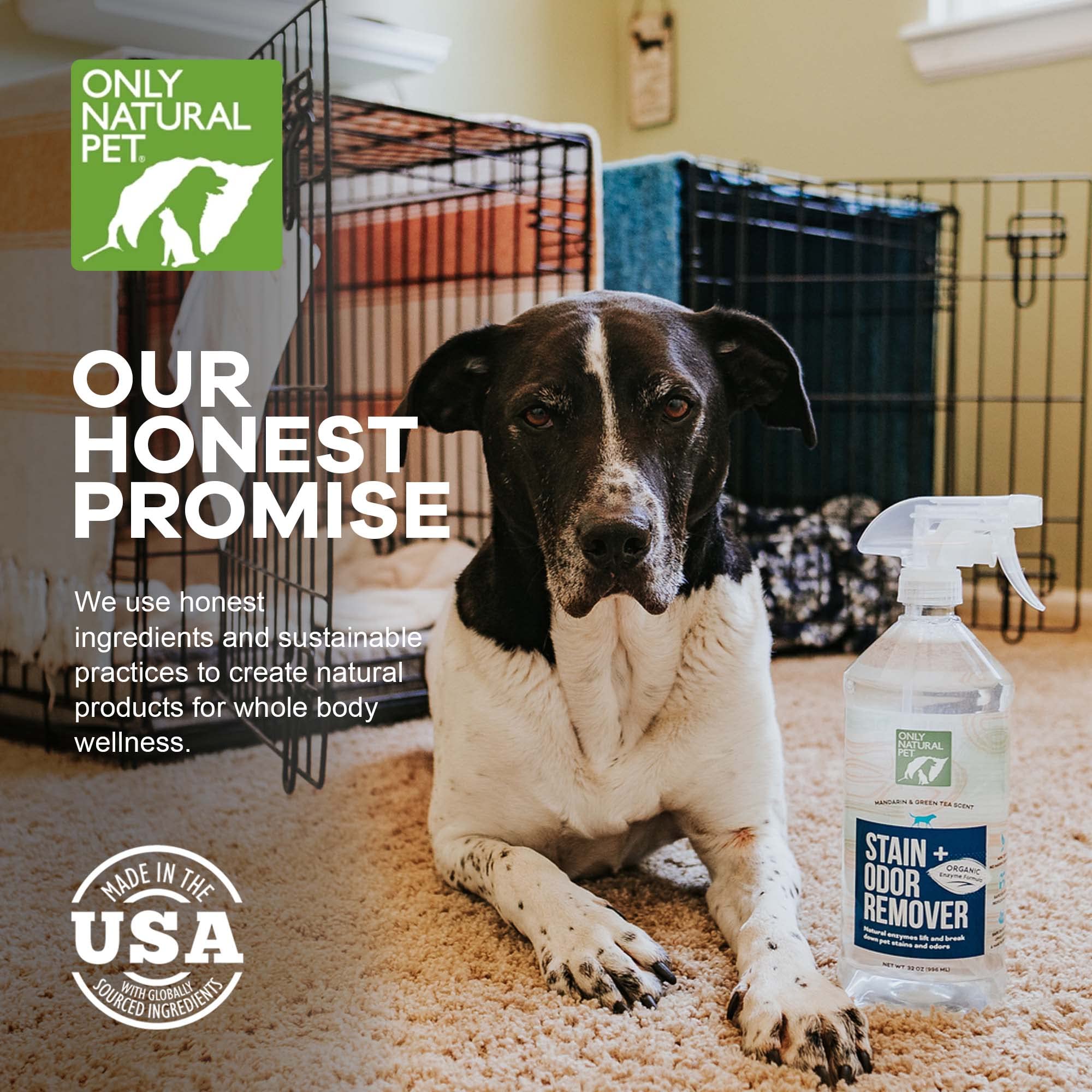 Only Natural Pet enzyme-powered stain-eliminator spray-action demonstrates surface-safe application.