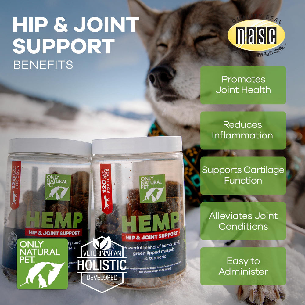 Only Natural Pet green-lipped mussels turmeric mobility feature image implies active lifestyle support