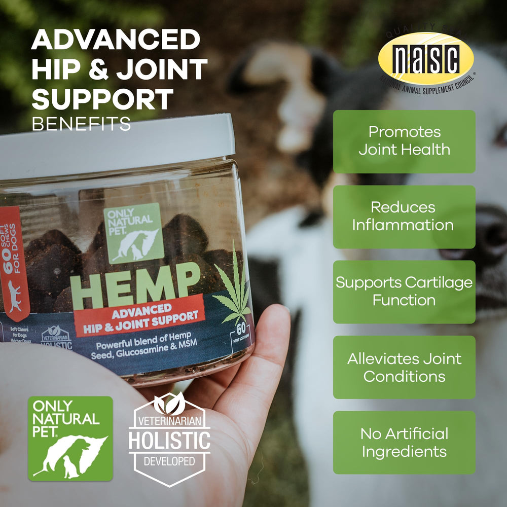 Only Natural Pet Hemp Advanced Mobility turmeric shot showing natural wellness support.