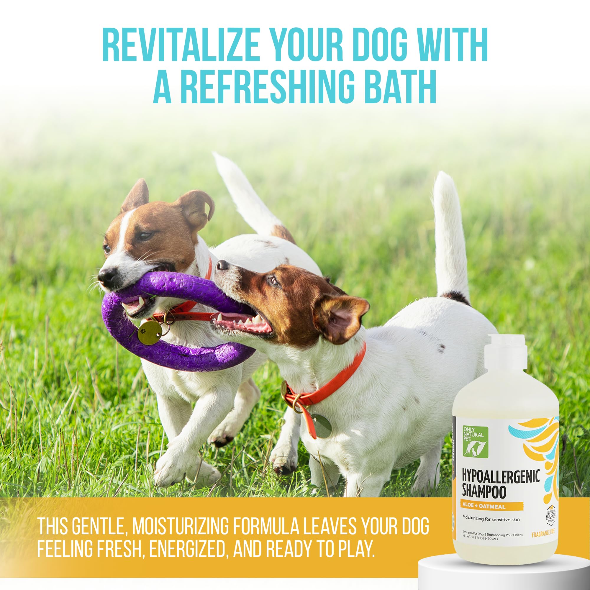 Only Natural Pet hypoallergenic shampoo packaging highlights eco-conscious design and value.