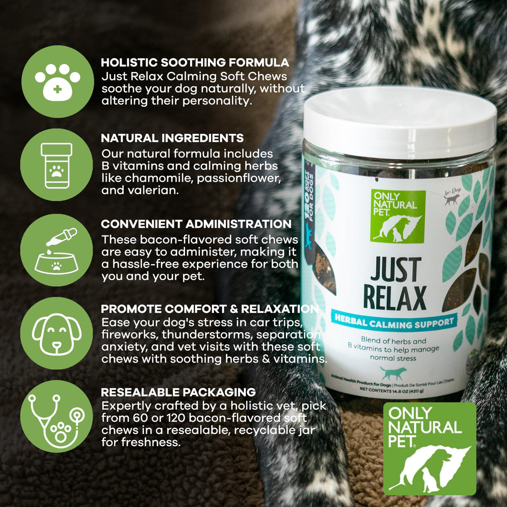 Only Natural Pet Just Relax dog on a calm walk after chews.