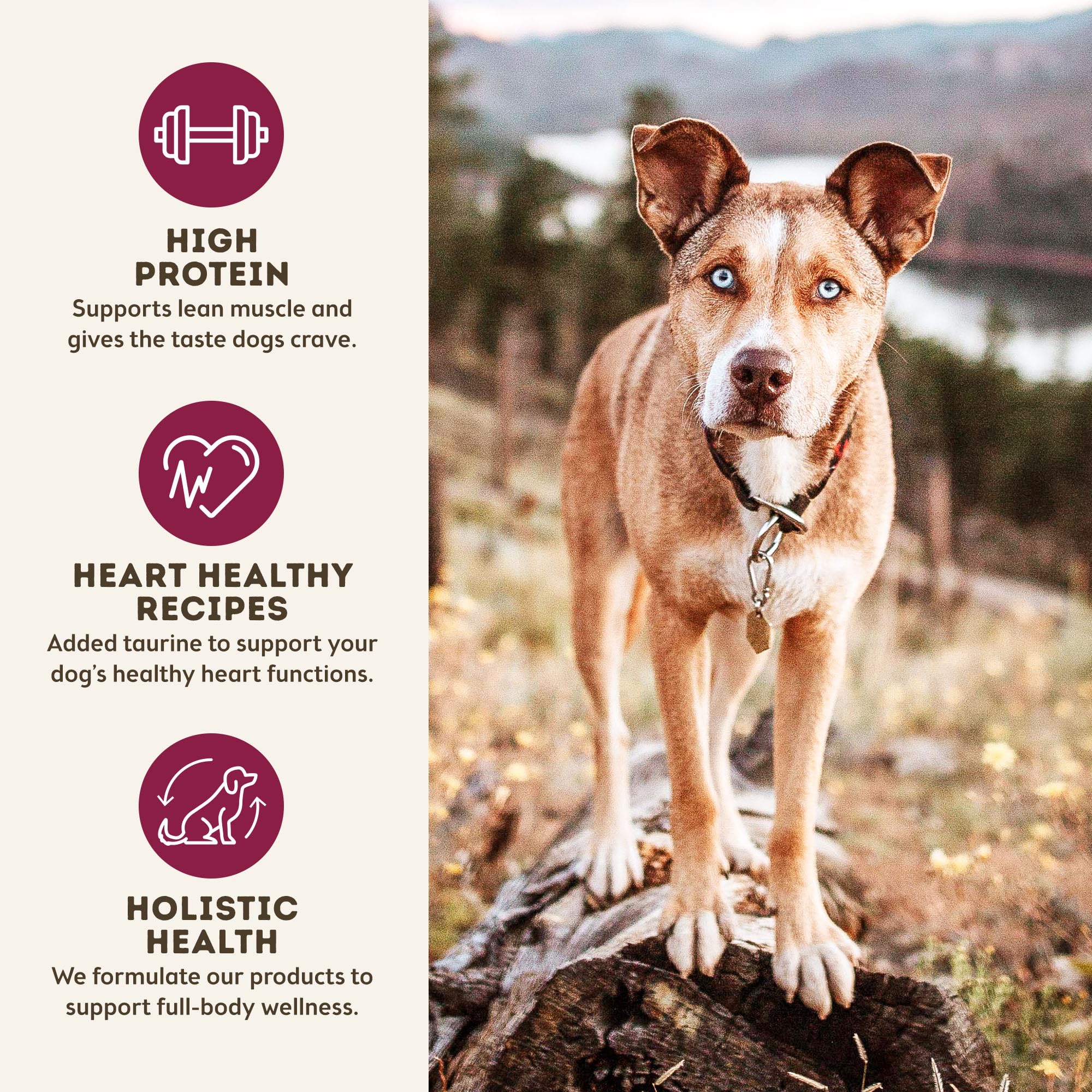 Only Natural Pet MaxMeat 2 lb bag front packaging highlighting natural ingredients