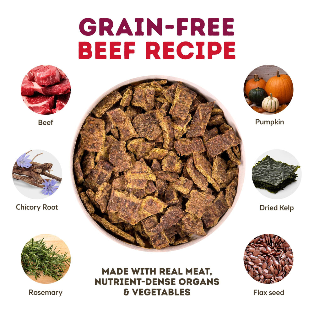 Only Natural Pet MaxMeat beef with pumpkin and parsley ingredient close-up for savory nutrition