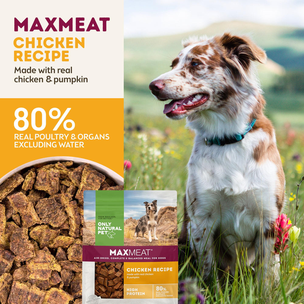 Only Natural Pet MaxMeat dry meal served in bowl as complete option