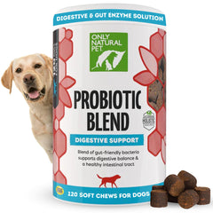 Only Natural Pet probiotic bottle pour shows digestive support for pets