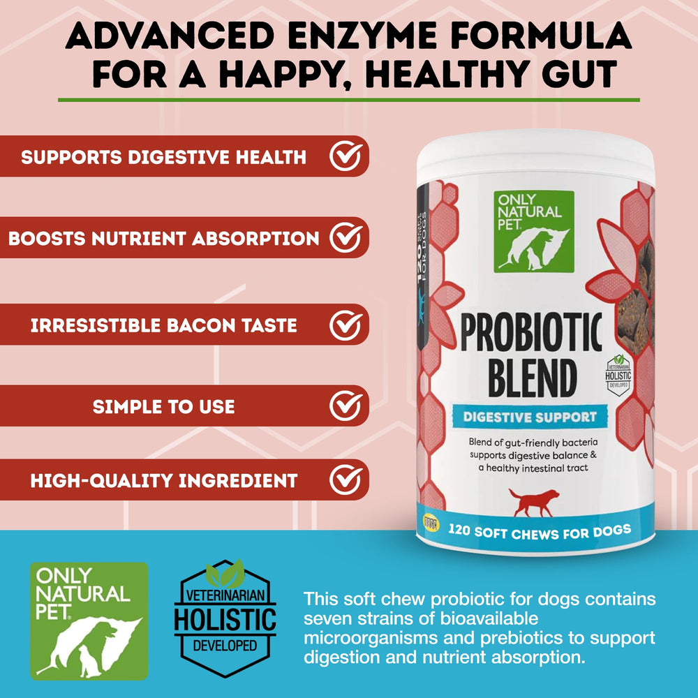 Only Natural Pet probiotic chews 60-count bacon-flavor for convenient stomach relief