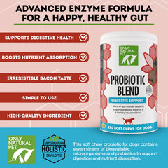 Only Natural Pet probiotic chews 60-count bacon-flavor for convenient stomach relief