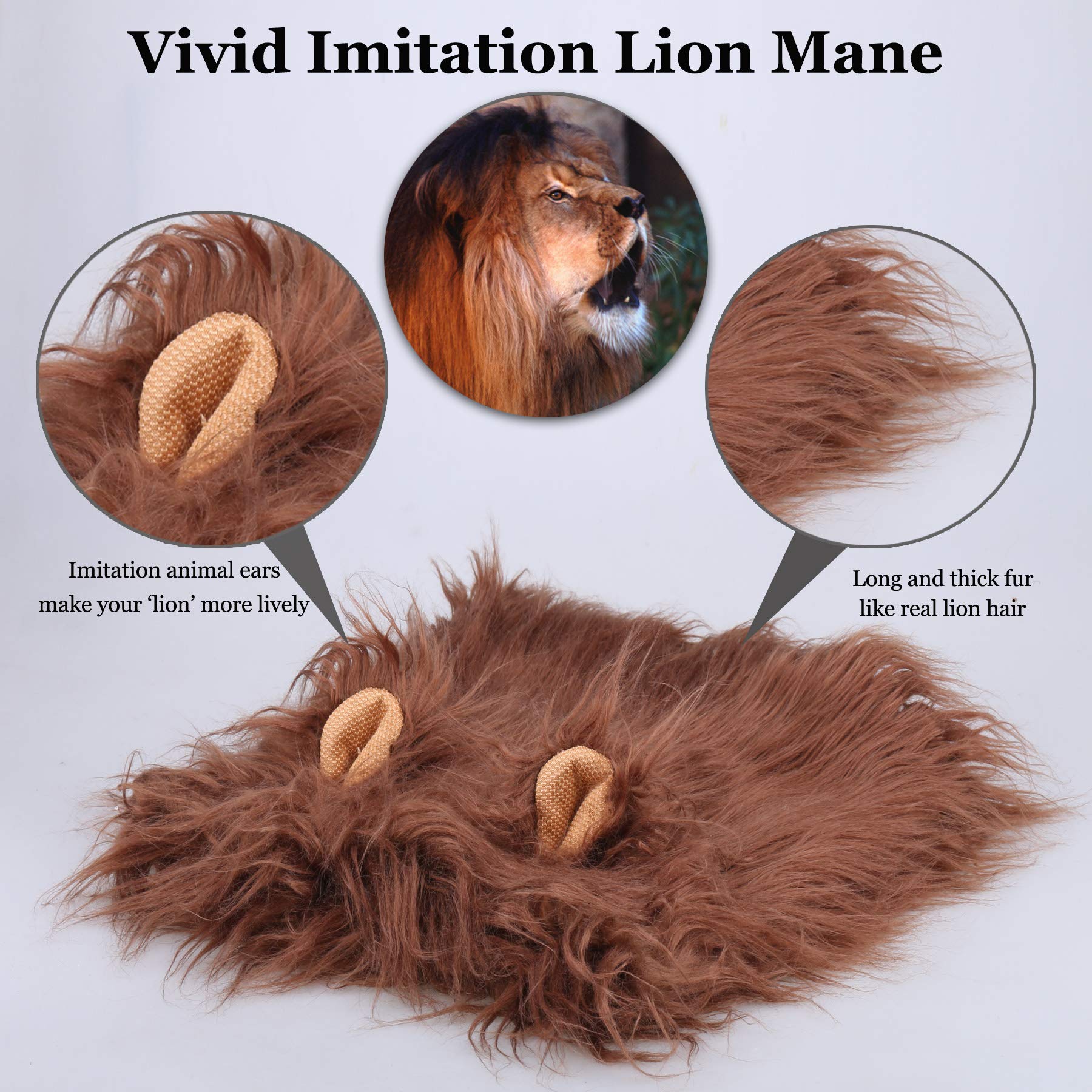 Onmygogo lion mane dog costume on large breed, size L fits reliably.