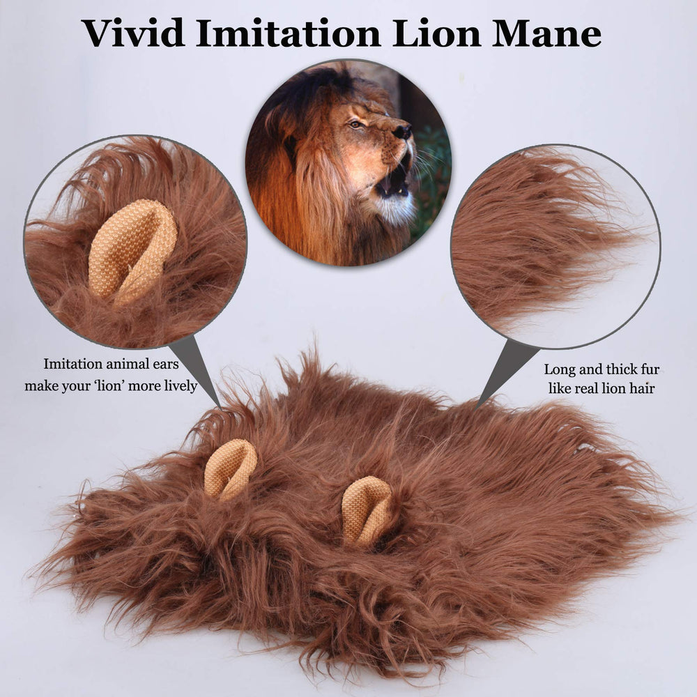 Onmygogo lion mane dog costume on large breed, size L fits reliably.