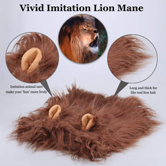 Onmygogo lion mane dog costume on large breed, size L fits reliably.