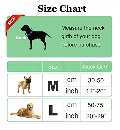 Onmygogo lion mane dog costume packaging display, gift-ready for holidays.