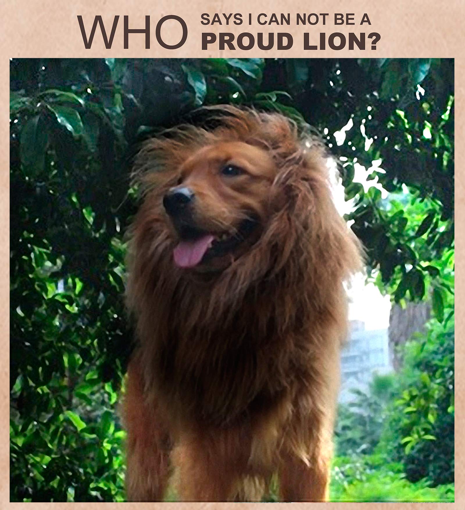 Onmygogo lion mane dog costume washable material, simple care after wear.