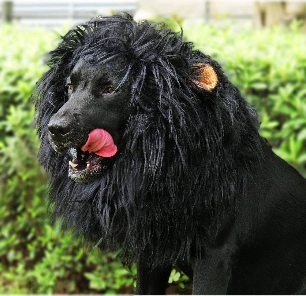 Onmygogo lion-mane-wig-dog-christmas - cute holiday look for festive photos and events.