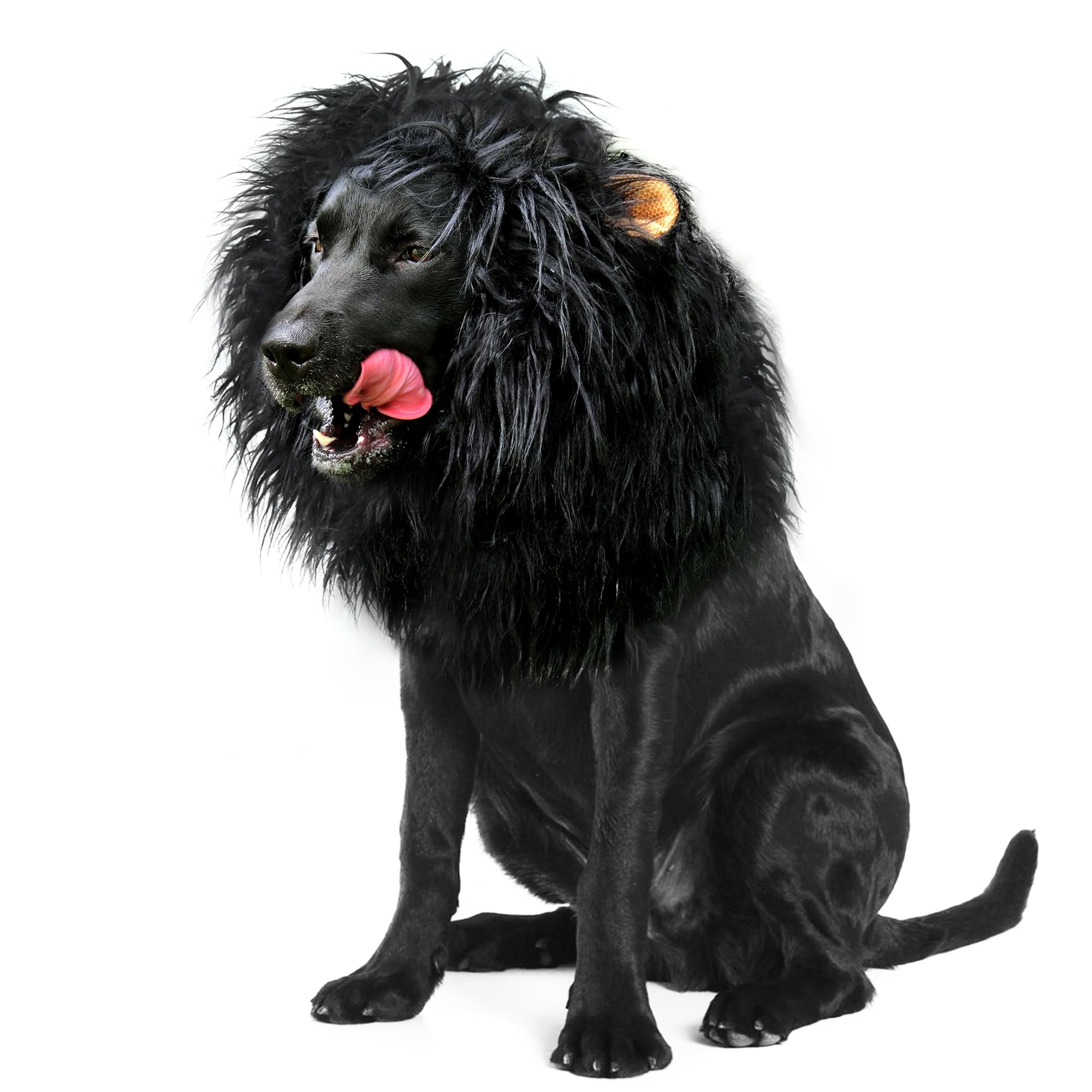 Onmygogo lion-mane-wig-dog-halloween - festive pet costume idea for Halloween celebrations.