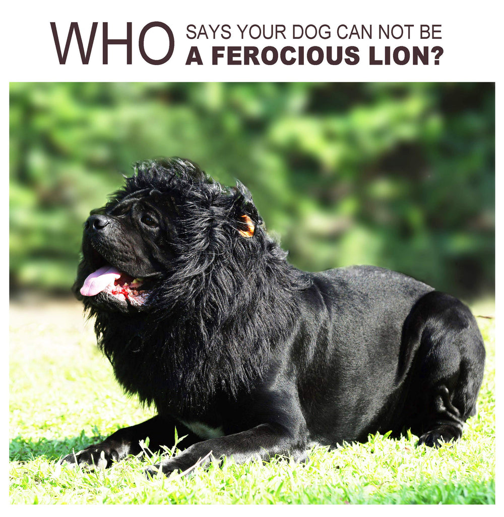 Onmygogo lion-mane-wig-soft-plush-material - eco friendly, gentle touch that pets appreciate.