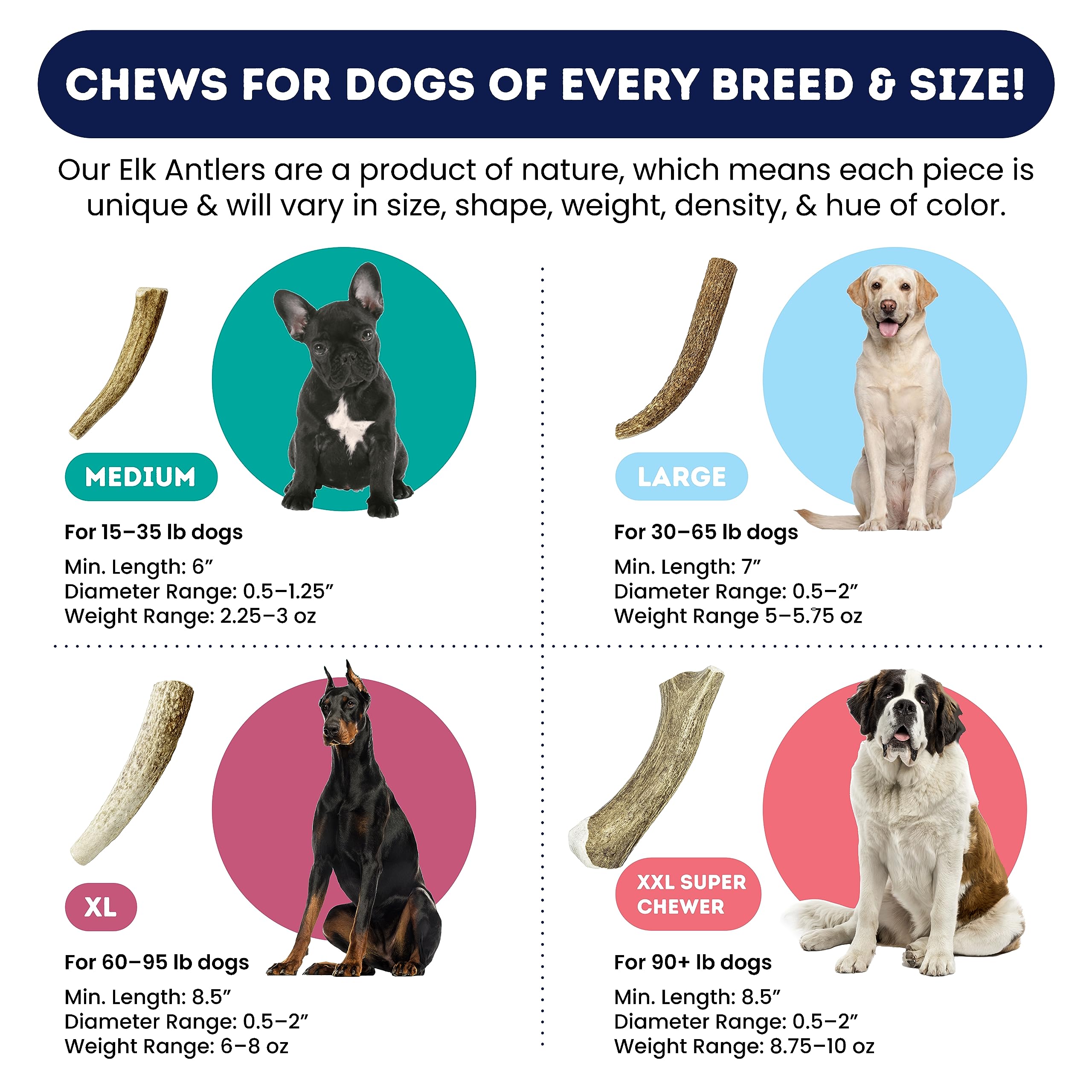 Onward Hound Elk Antler Mineral-Rich – calcium, phosphorus and zinc for bone support