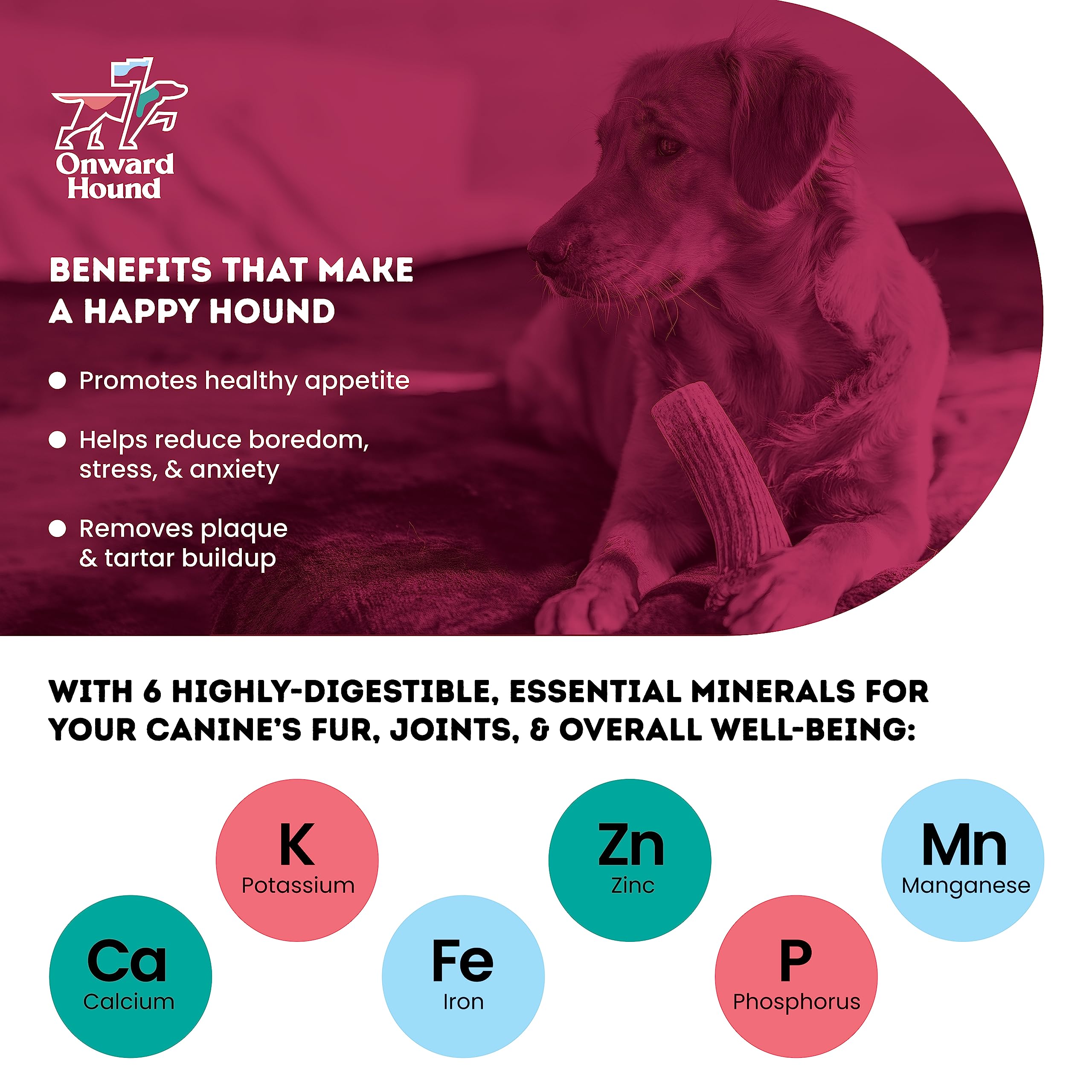 Onward Hound elk antlers for dogs 6in packaged; easy-to-present premium chew.