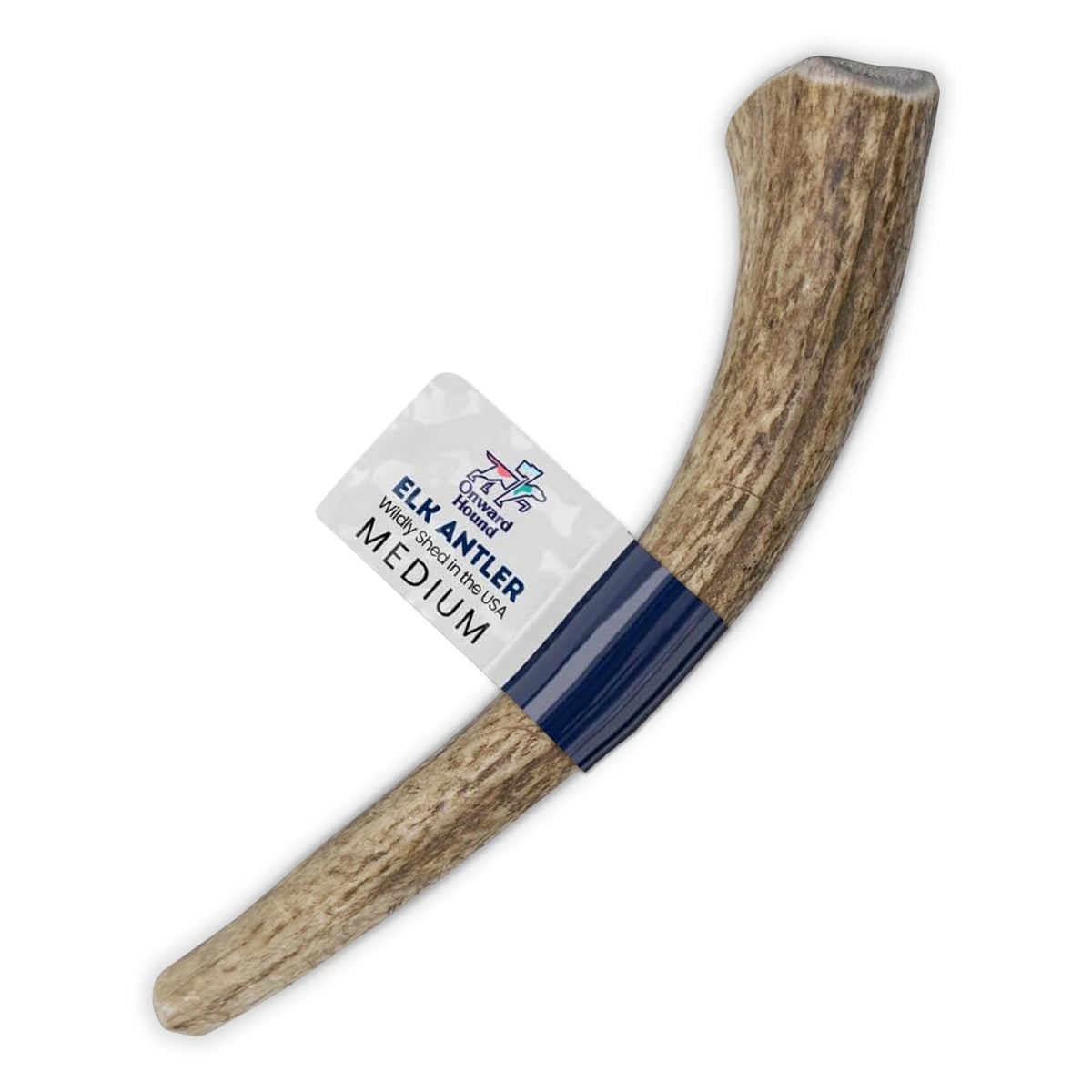 Onward Hound elk antlers for dogs 6in whole; durable enrichment for moderate chewers.