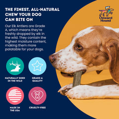 Onward Hound elk antlers for dogs durable-chew; trusted for strong chewers.