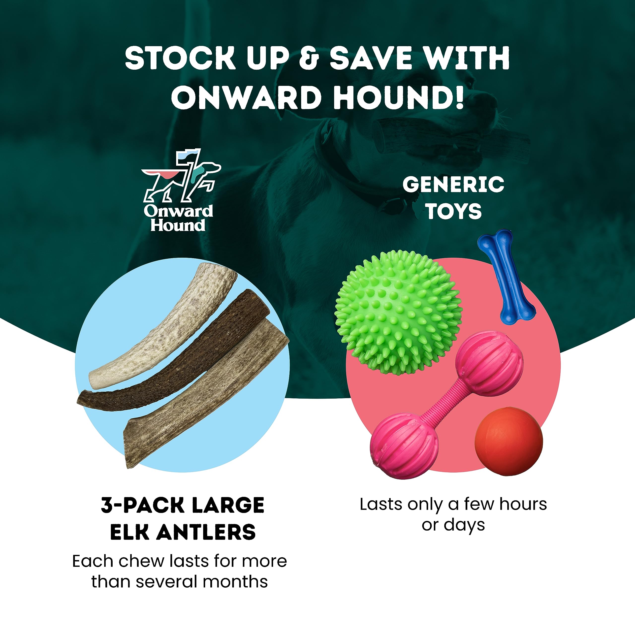 Onward Hound elk antlers no odor image—odor-free chews ideal for indoor use.