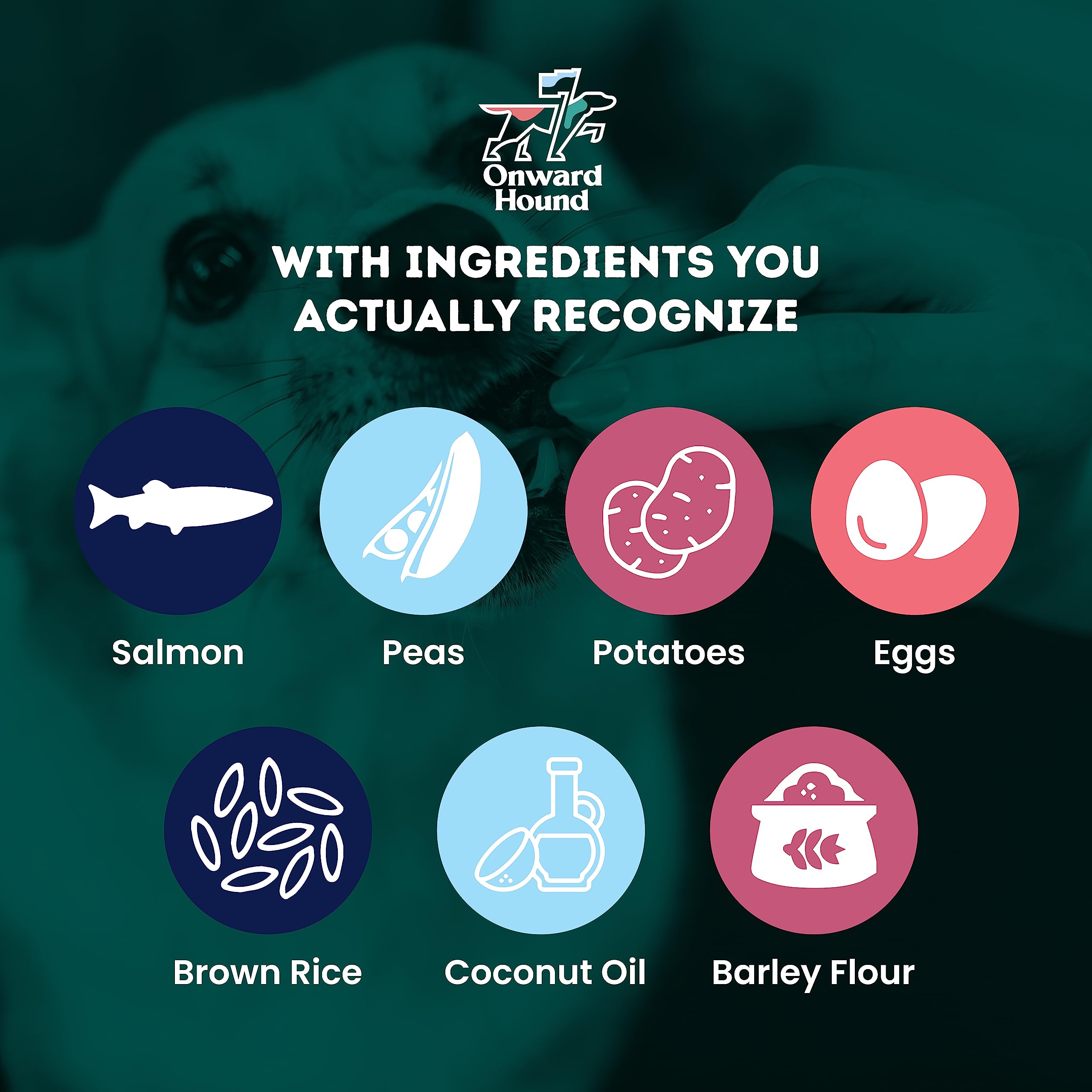 Onward Hound training treats single-source salmon protein image supports skin and coat wellness