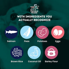 Onward Hound training treats single-source salmon protein image supports skin and coat wellness