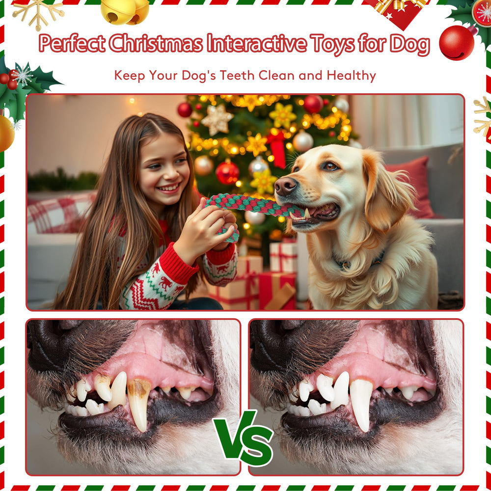 Onwoli rope toy for training sessions with candy cane red design and interactive fetch.