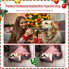 Onwoli dog chewing cotton rope toy demonstrates a durable chew option.