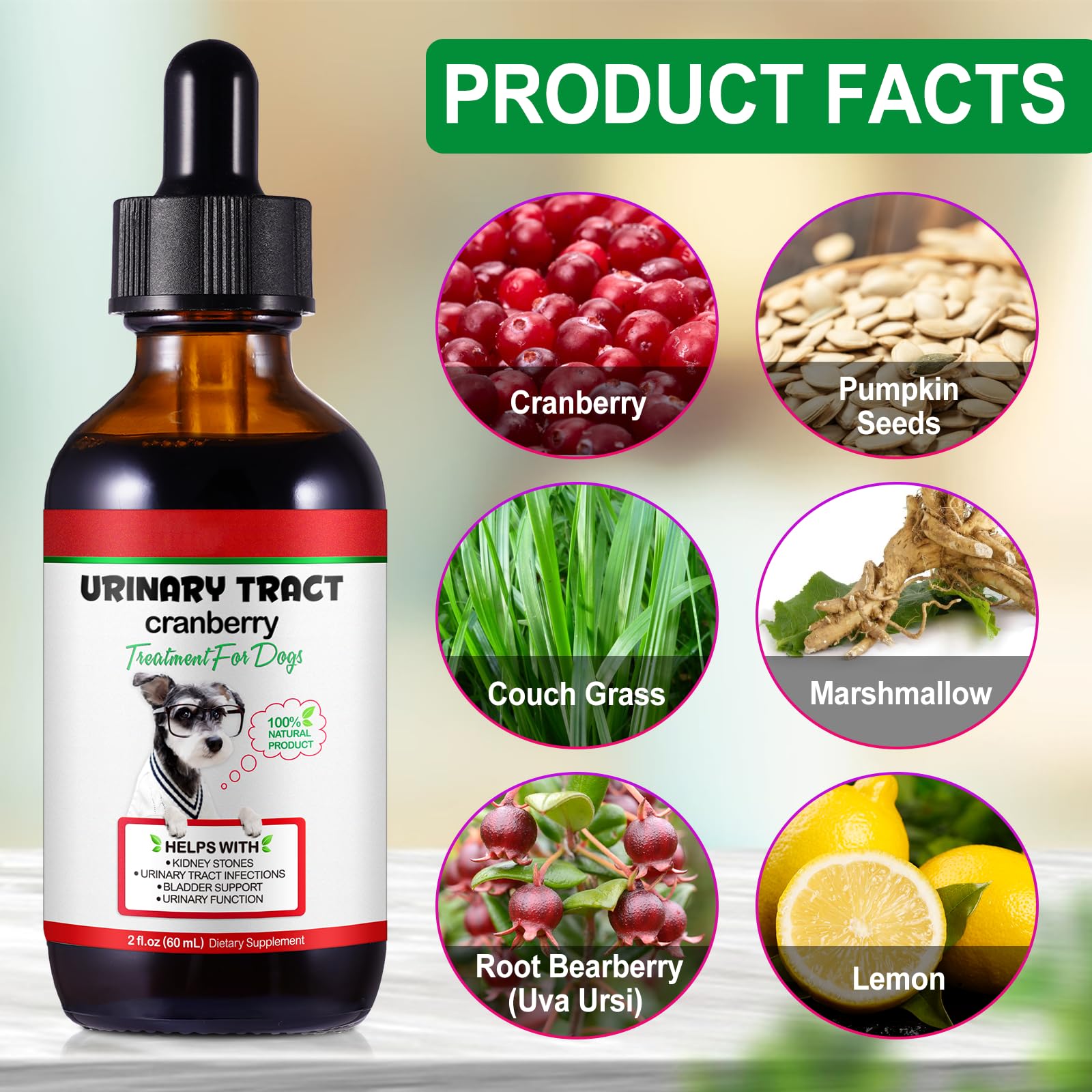 Onznoz cranberry extract for dogs highlights natural urinary health support.