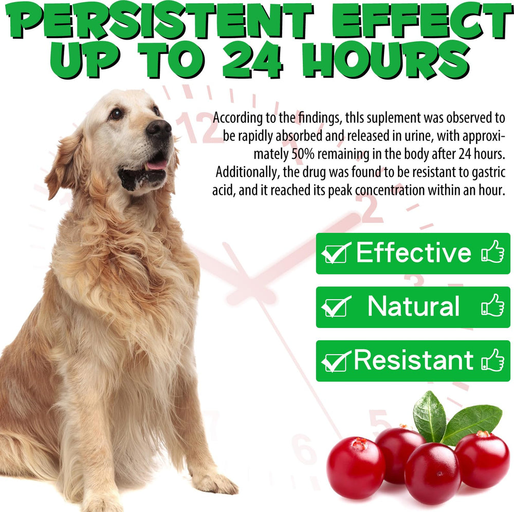 Onznoz dog digestive health support links urinary wellness to digestion.