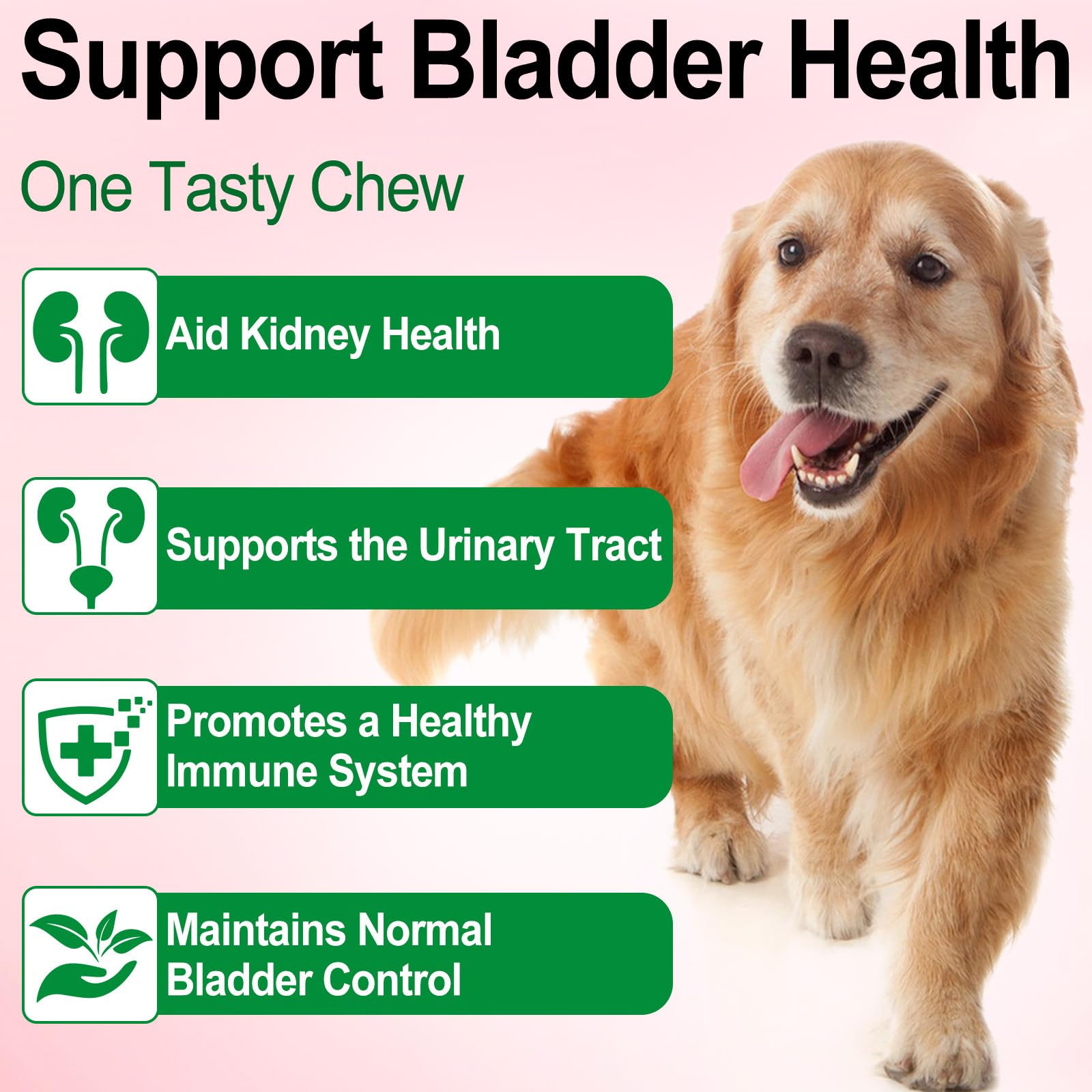 Onznoz dog urinary health packaging with clear labeling for at-home care.