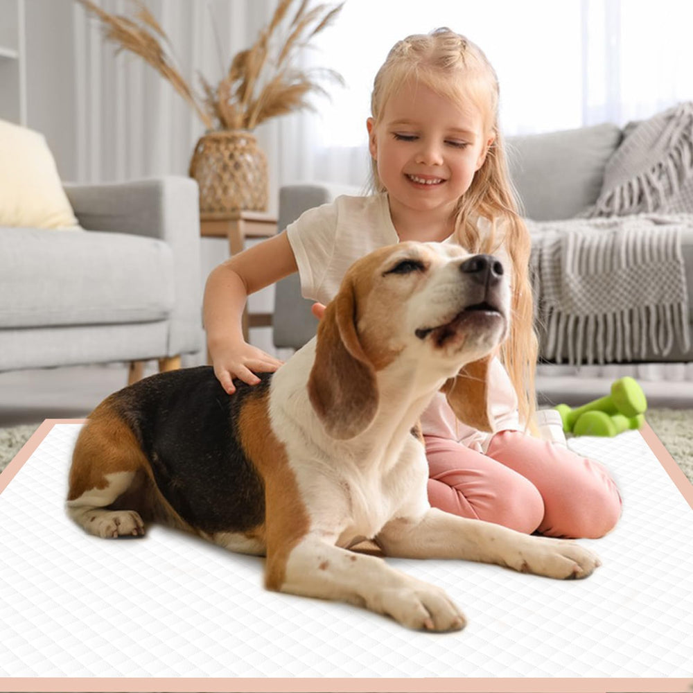 Oomicat 6-layer padding delivers absorbent performance for messy accidents.