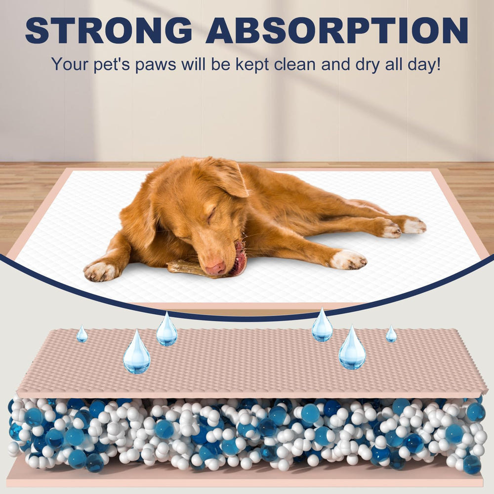 Oomicat absorbent quick-drying layer locks in moisture for a cleaner room.