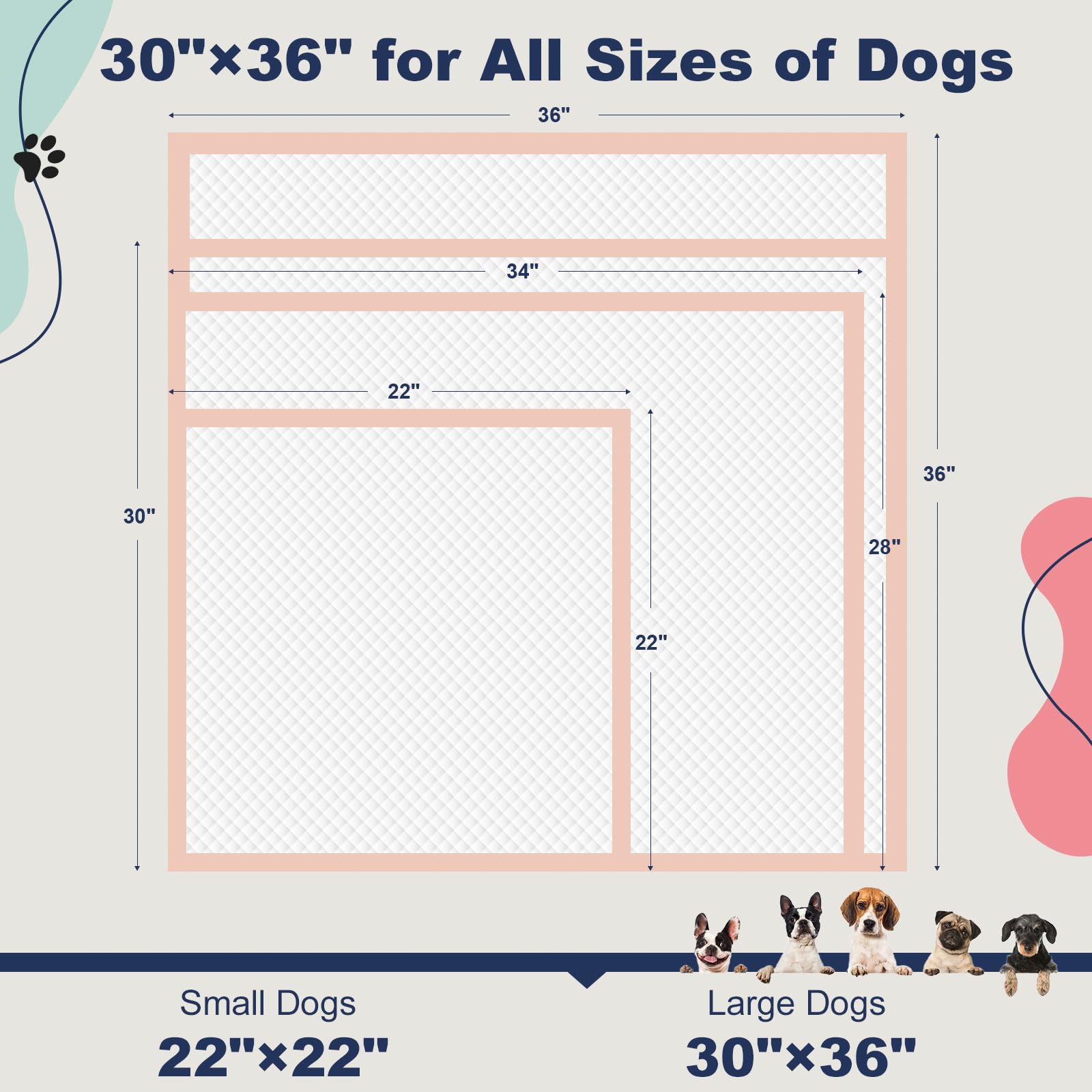 Oomicat extra-large 30x36 pee pad supports extended training.