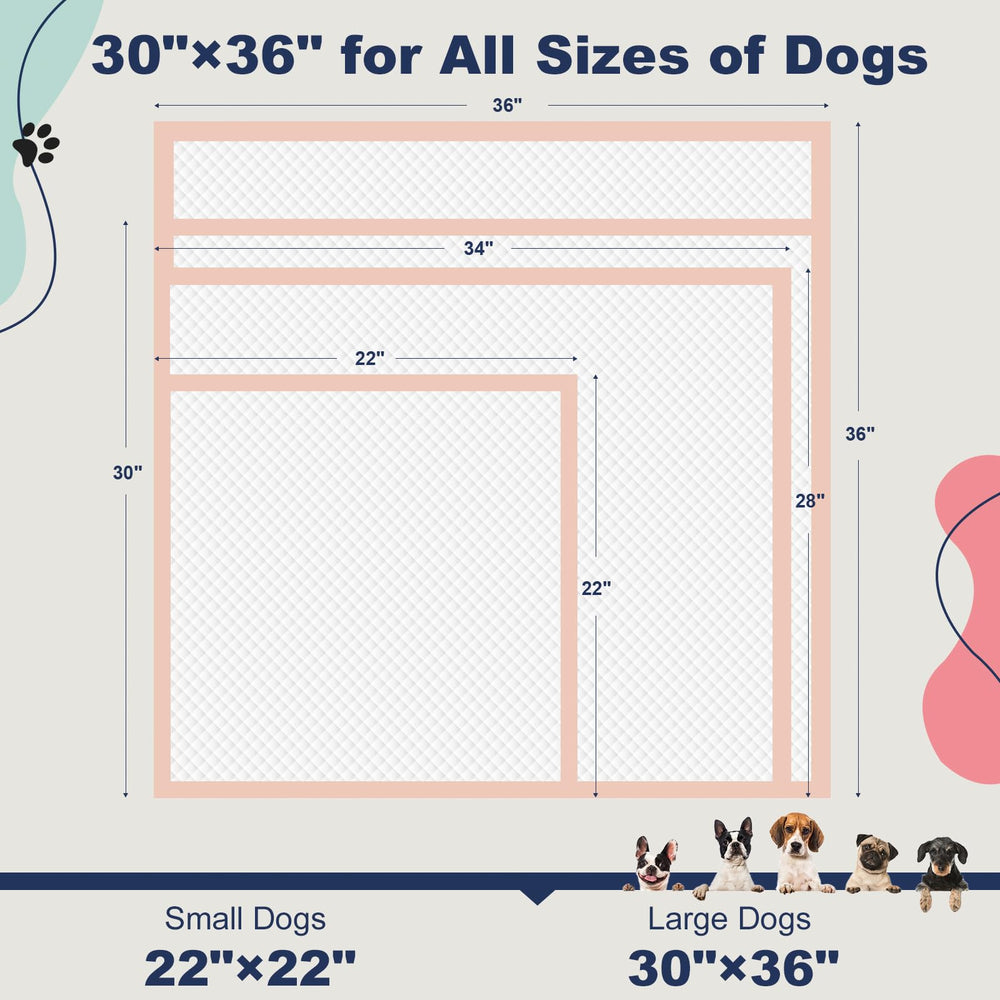 Oomicat extra-large 30x36 pee pad supports extended training.