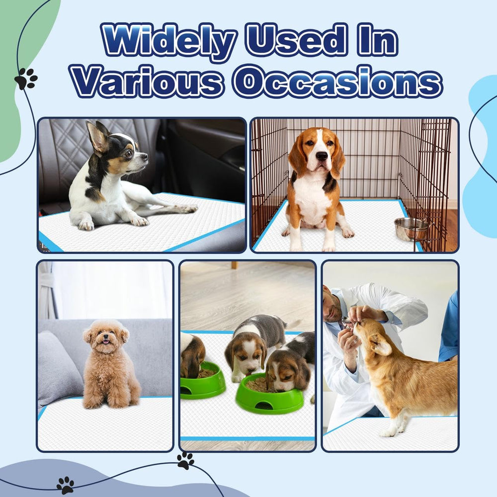 Oomicat Puppy Pads XL for travel car use shows versatile placement.
