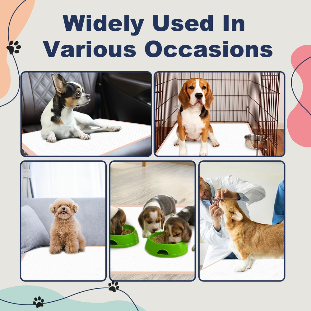 Oomicat XXL Puppy Pads car travel usage for portable potty solution.